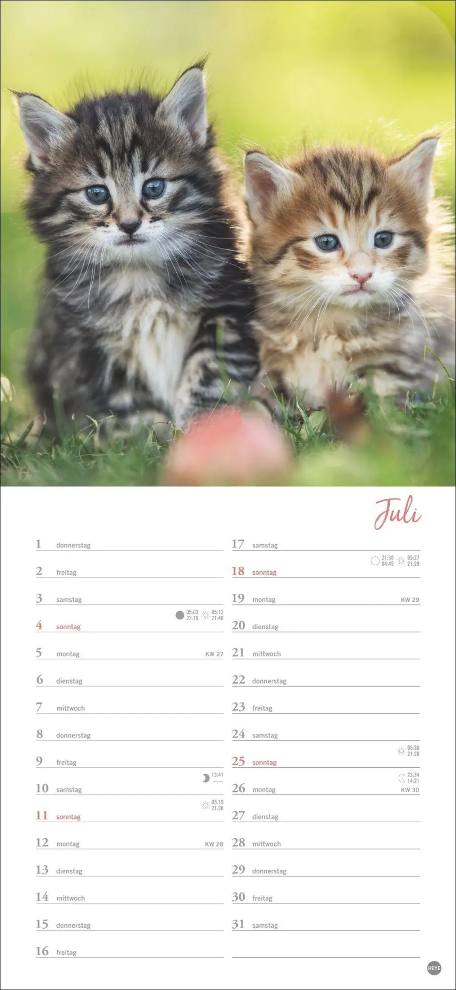 Bild: 9783756414802 | Katzen slim - Auf sanften Pfoten Kalender 2027 | Heye | Kalender