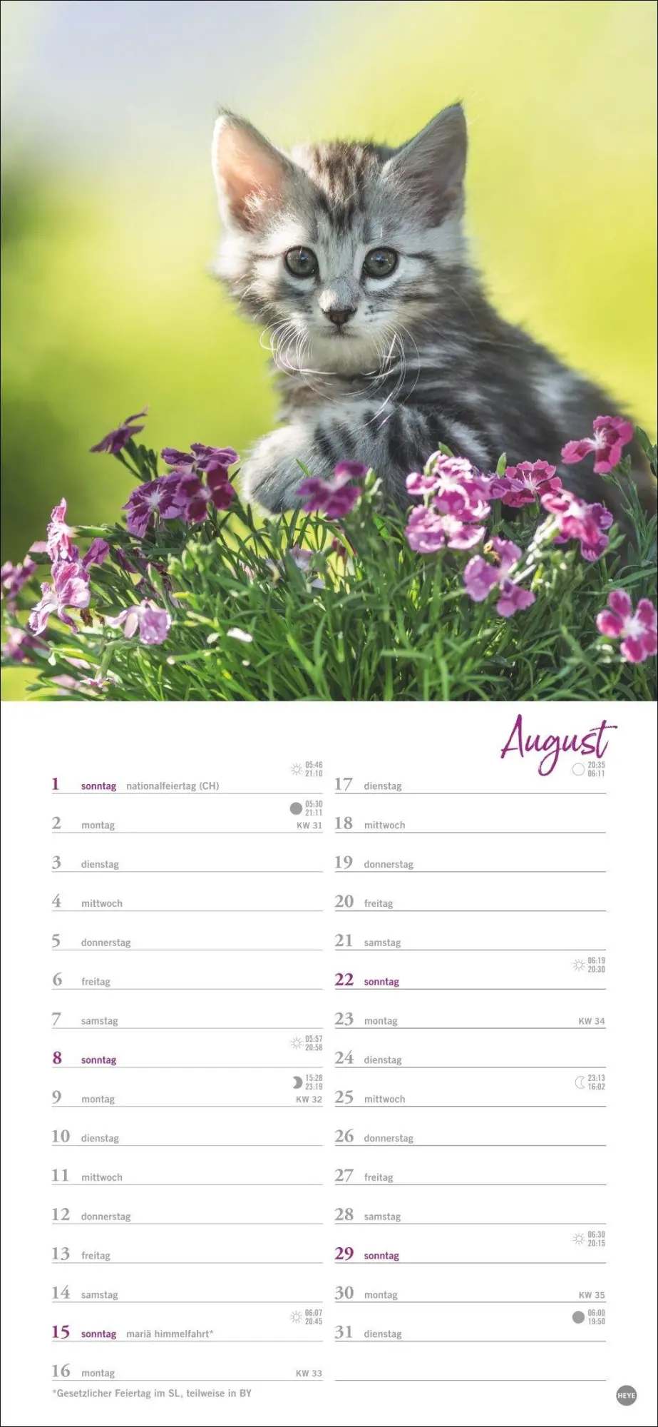 Bild: 9783756414802 | Katzen slim - Auf sanften Pfoten Kalender 2027 | Heye | Kalender