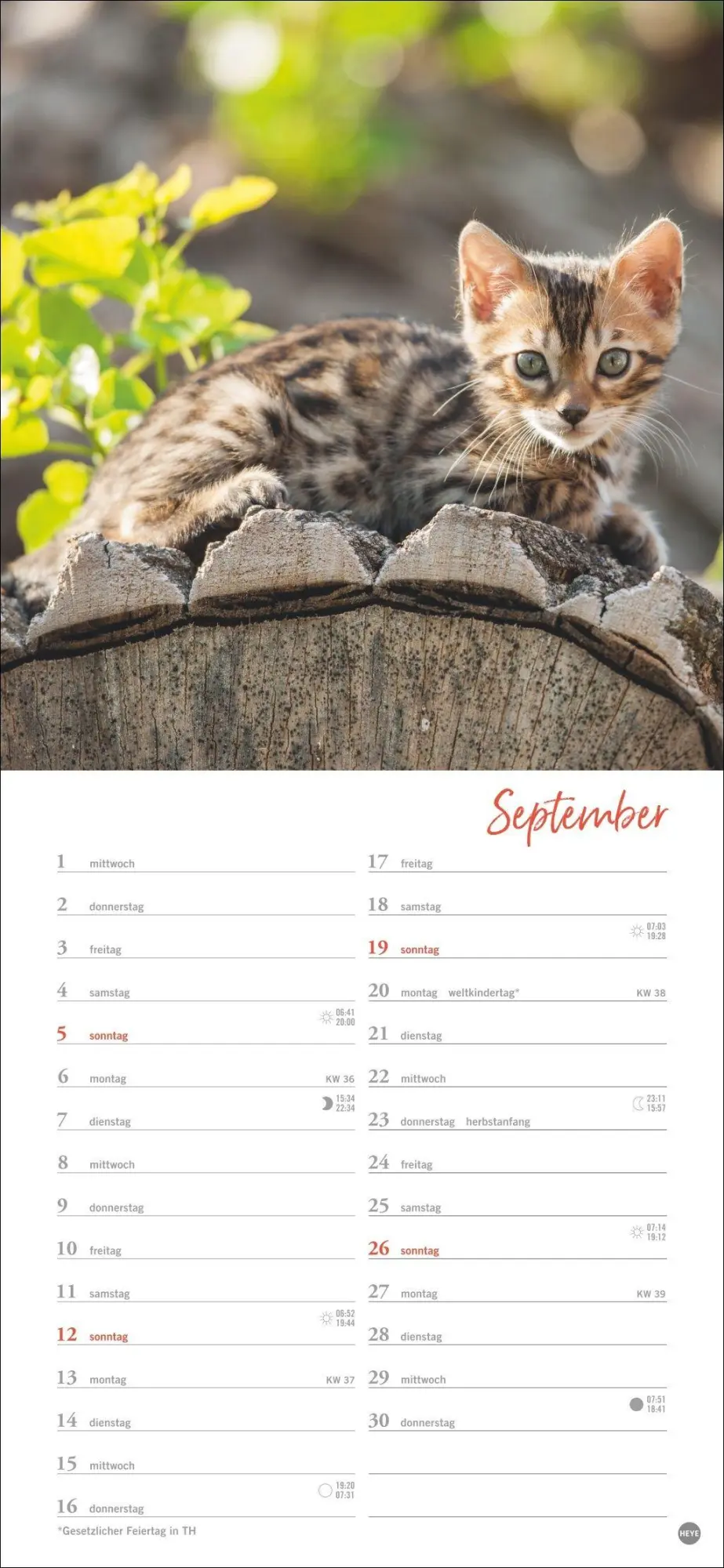 Bild: 9783756414802 | Katzen slim - Auf sanften Pfoten Kalender 2027 | Heye | Kalender