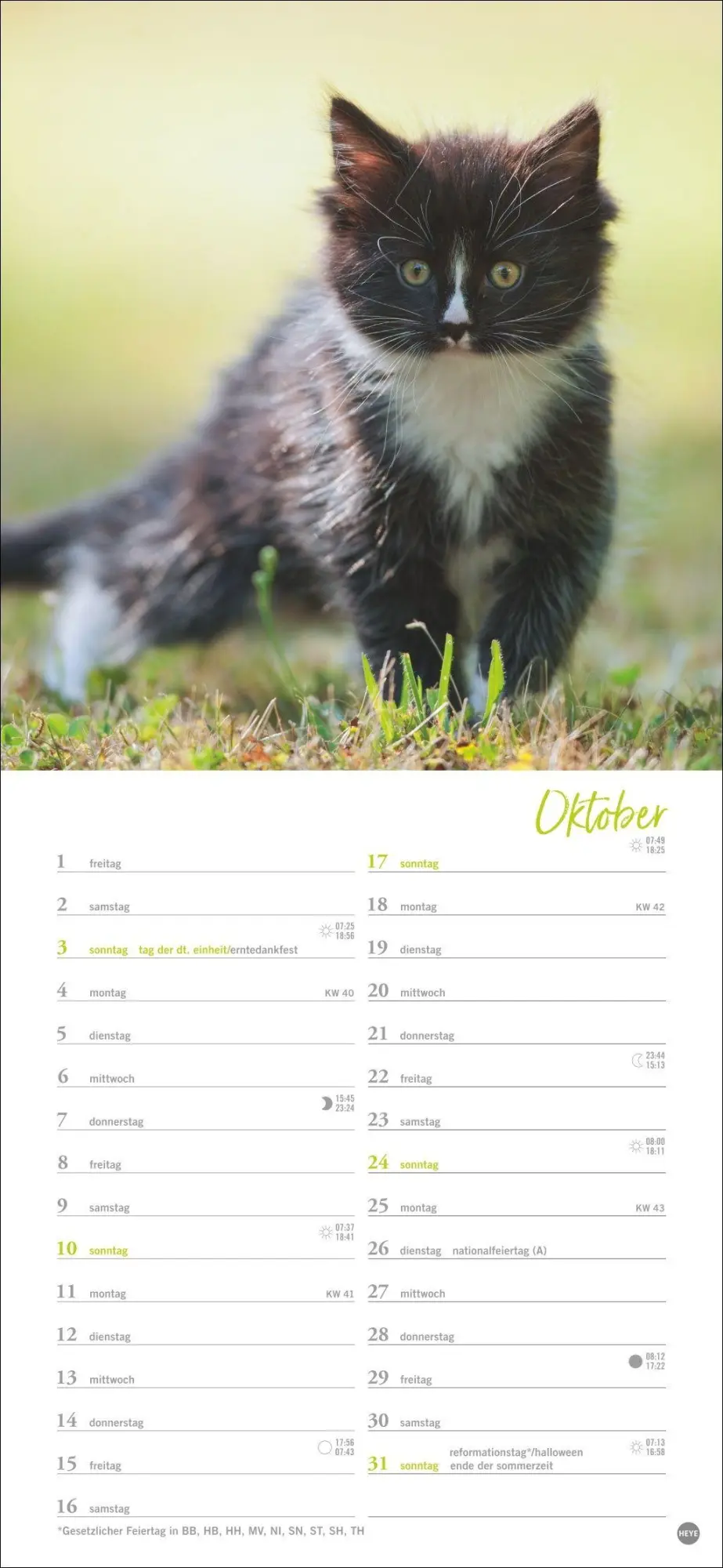 Bild: 9783756414802 | Katzen slim - Auf sanften Pfoten Kalender 2027 | Heye | Kalender