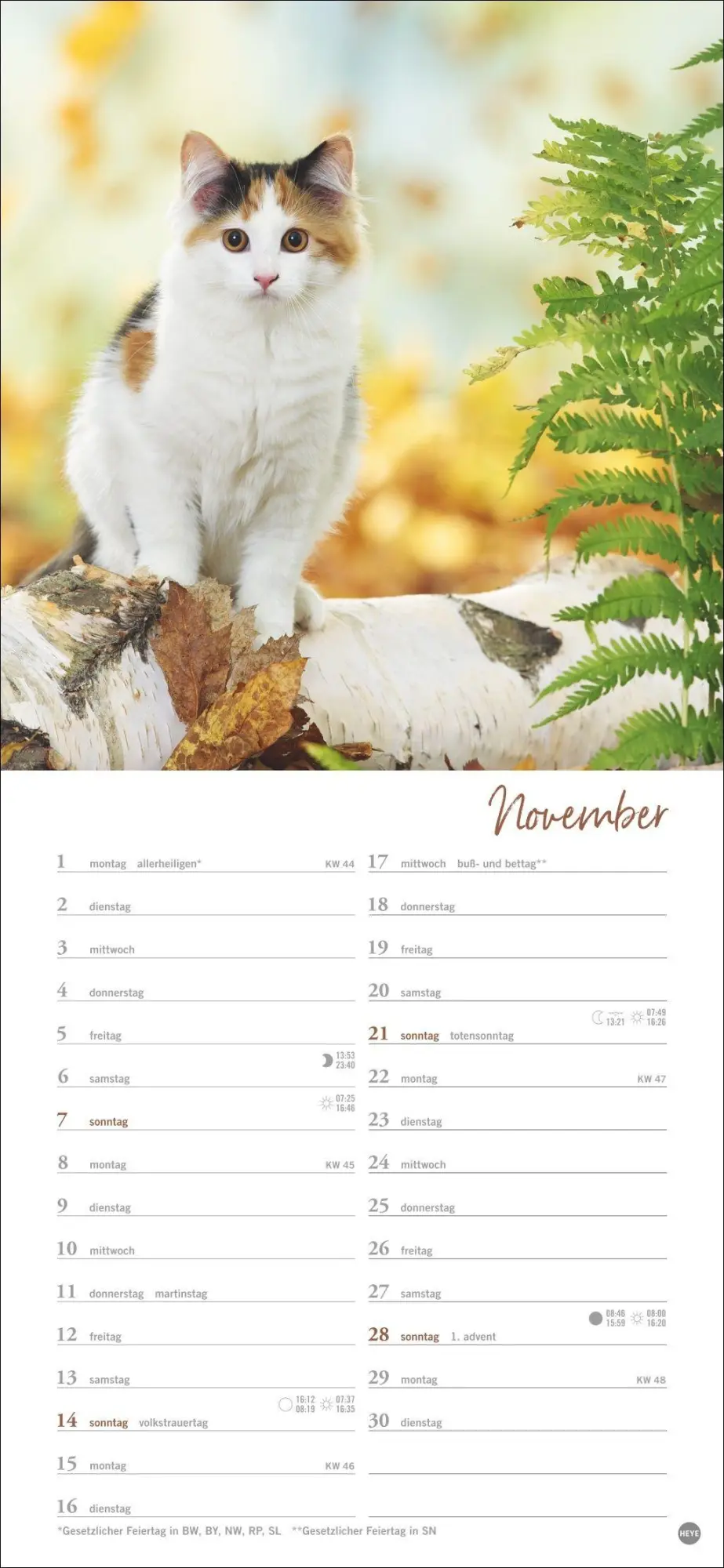 Bild: 9783756414802 | Katzen slim - Auf sanften Pfoten Kalender 2027 | Heye | Kalender