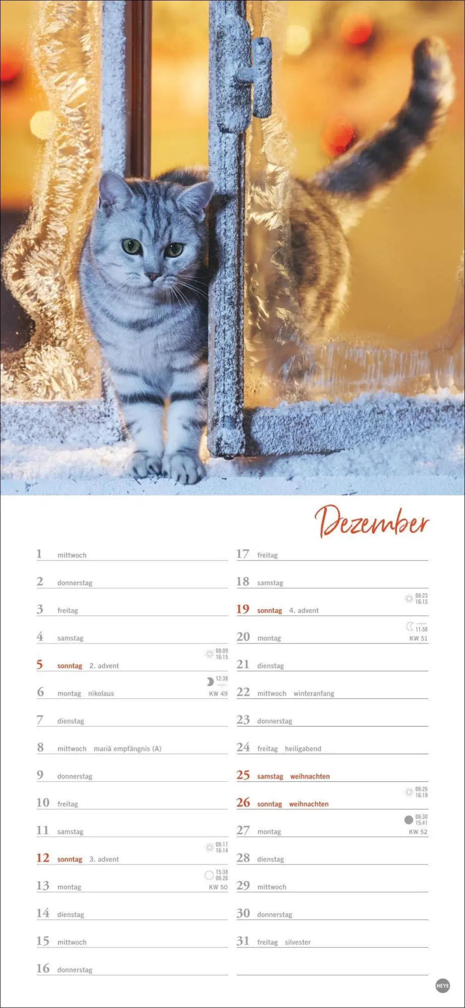 Bild: 9783756414802 | Katzen slim - Auf sanften Pfoten Kalender 2027 | Heye | Kalender