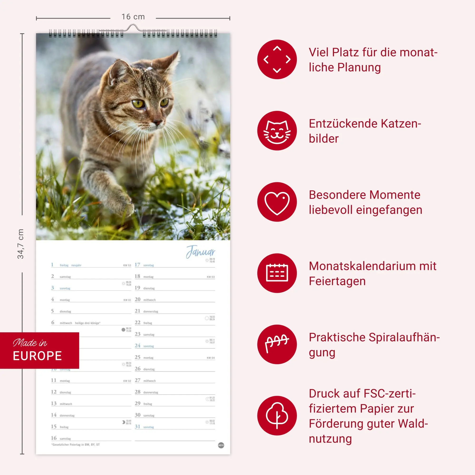 Bild: 9783756414802 | Katzen slim - Auf sanften Pfoten Kalender 2027 | Heye | Kalender