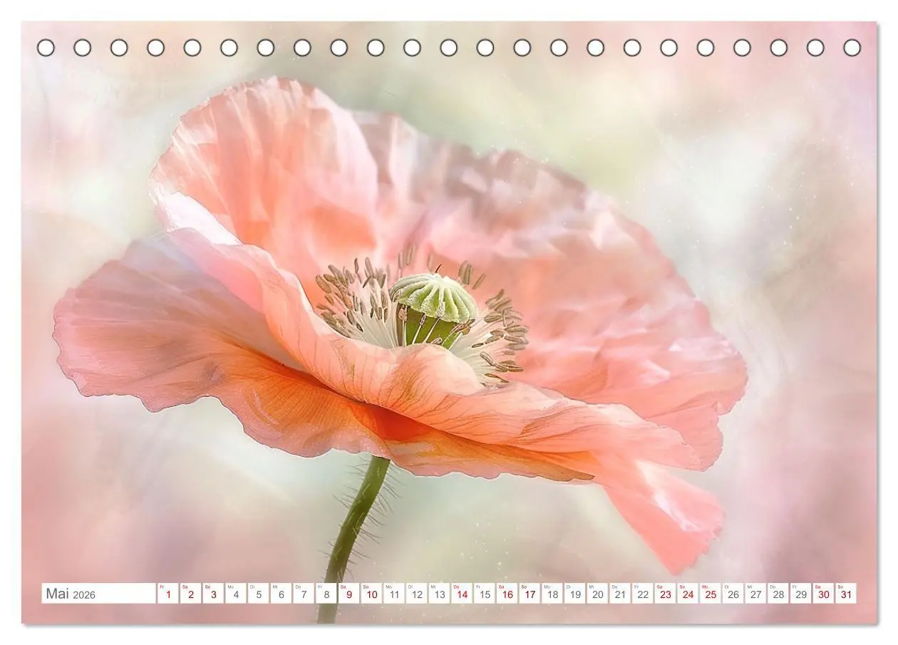 Bild: 9783457424902 | Bezaubernde Mohnblumen (Tischkalender 2026 DIN A5 quer), CALVENDO...