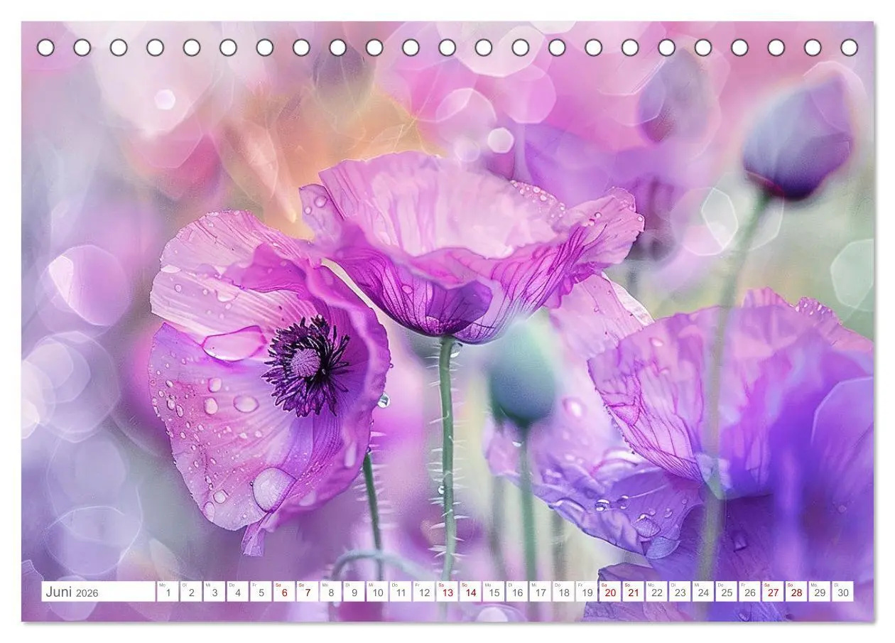 Bild: 9783457424902 | Bezaubernde Mohnblumen (Tischkalender 2026 DIN A5 quer), CALVENDO...