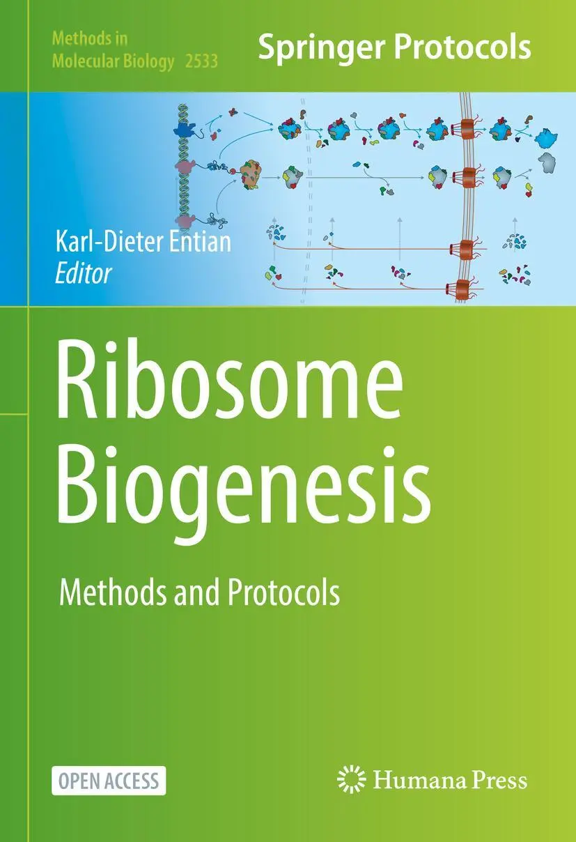 Cover: 9781071625002 | Ribosome Biogenesis | Methods and Protocols | Karl-Dieter Entian | xiv