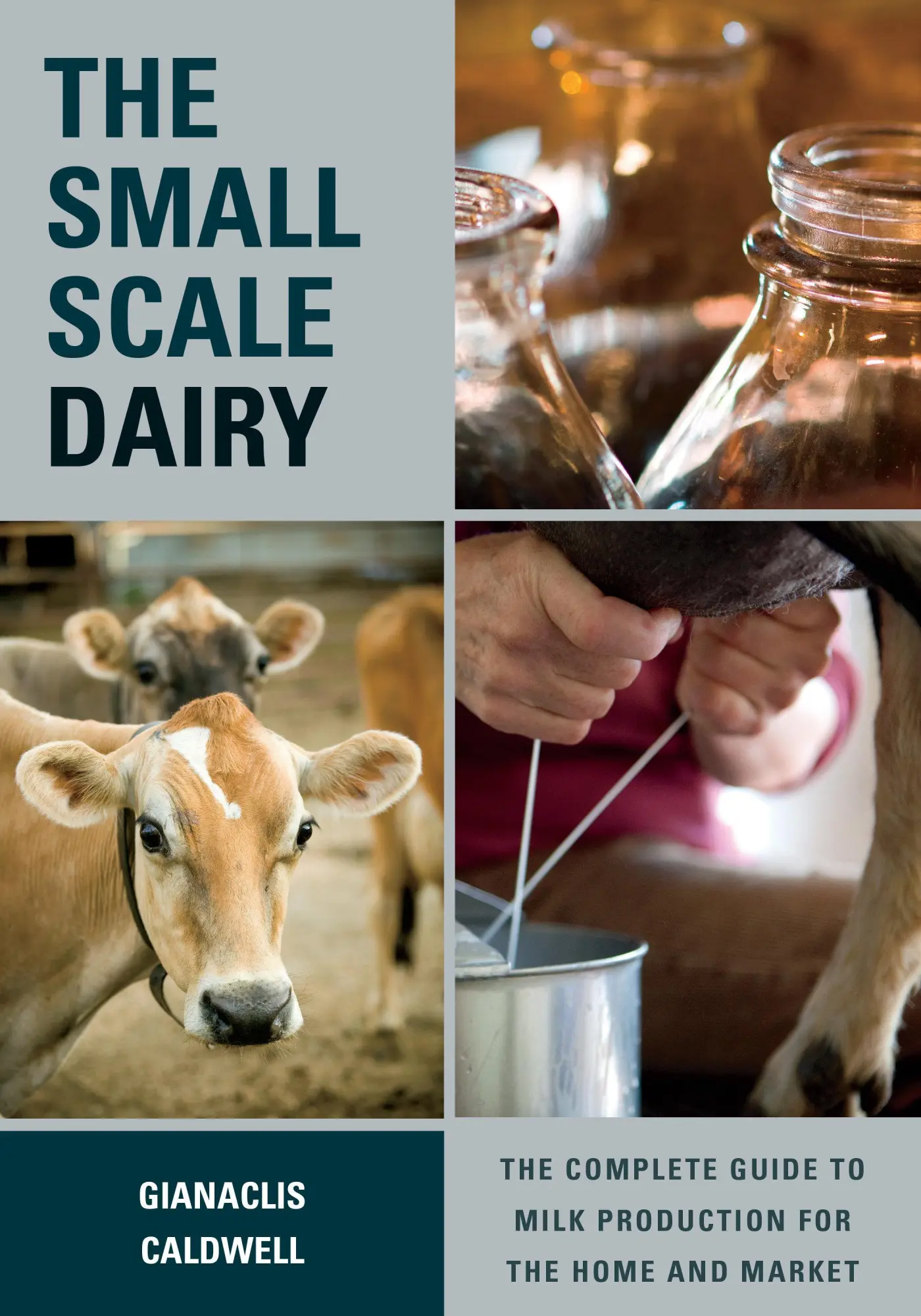 Cover: 9781603585002 | The Small-Scale Dairy | Gianaclis Caldwell | Taschenbuch | Englisch Cover: 9781603585002 | The Small-Scale Dairy | Gianaclis Caldwell | Taschenbuch | Englisch