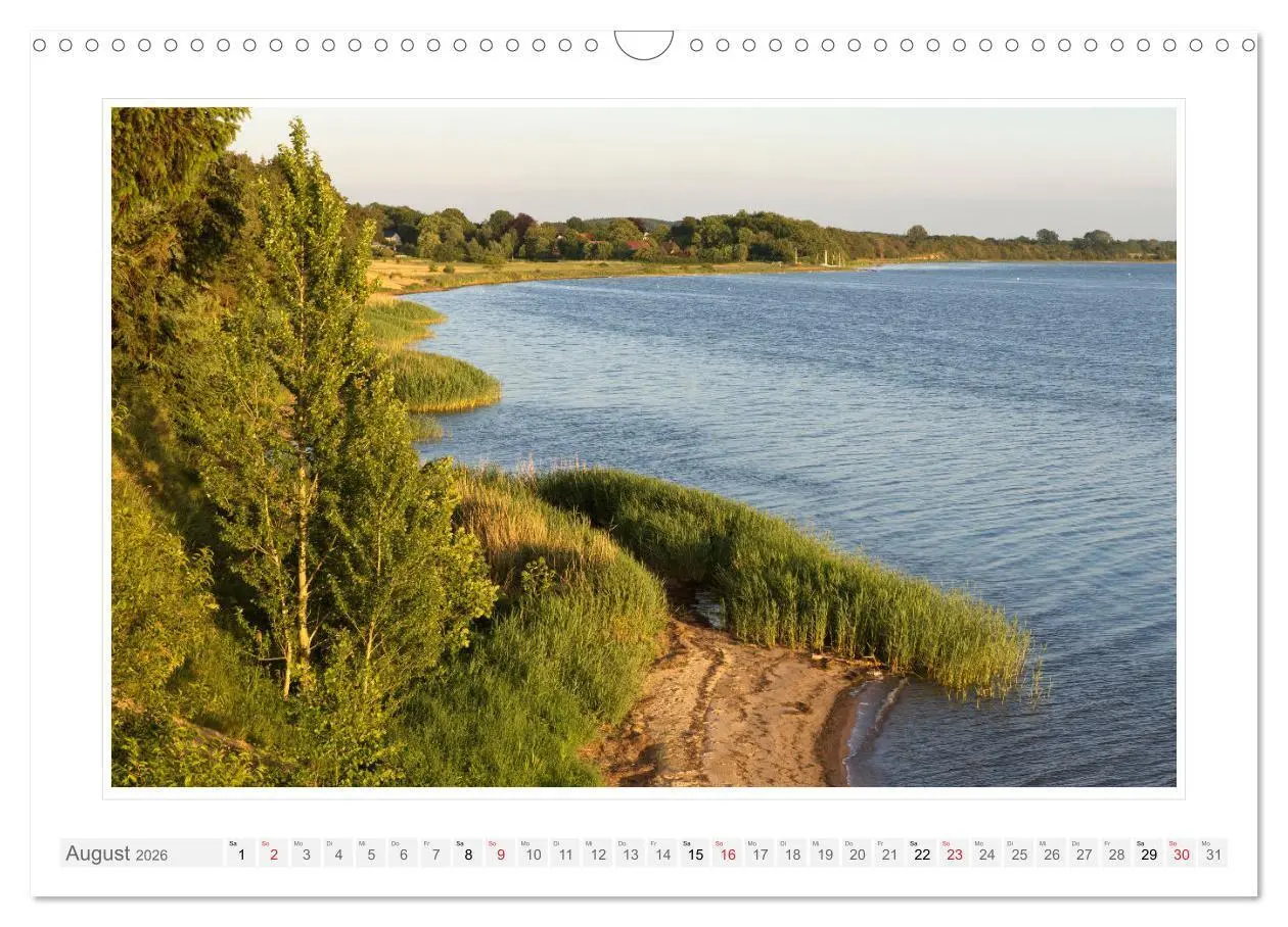 Bild: 9783457315002 | Rund um die Schlei (Wandkalender 2026 DIN A3 quer), CALVENDO...