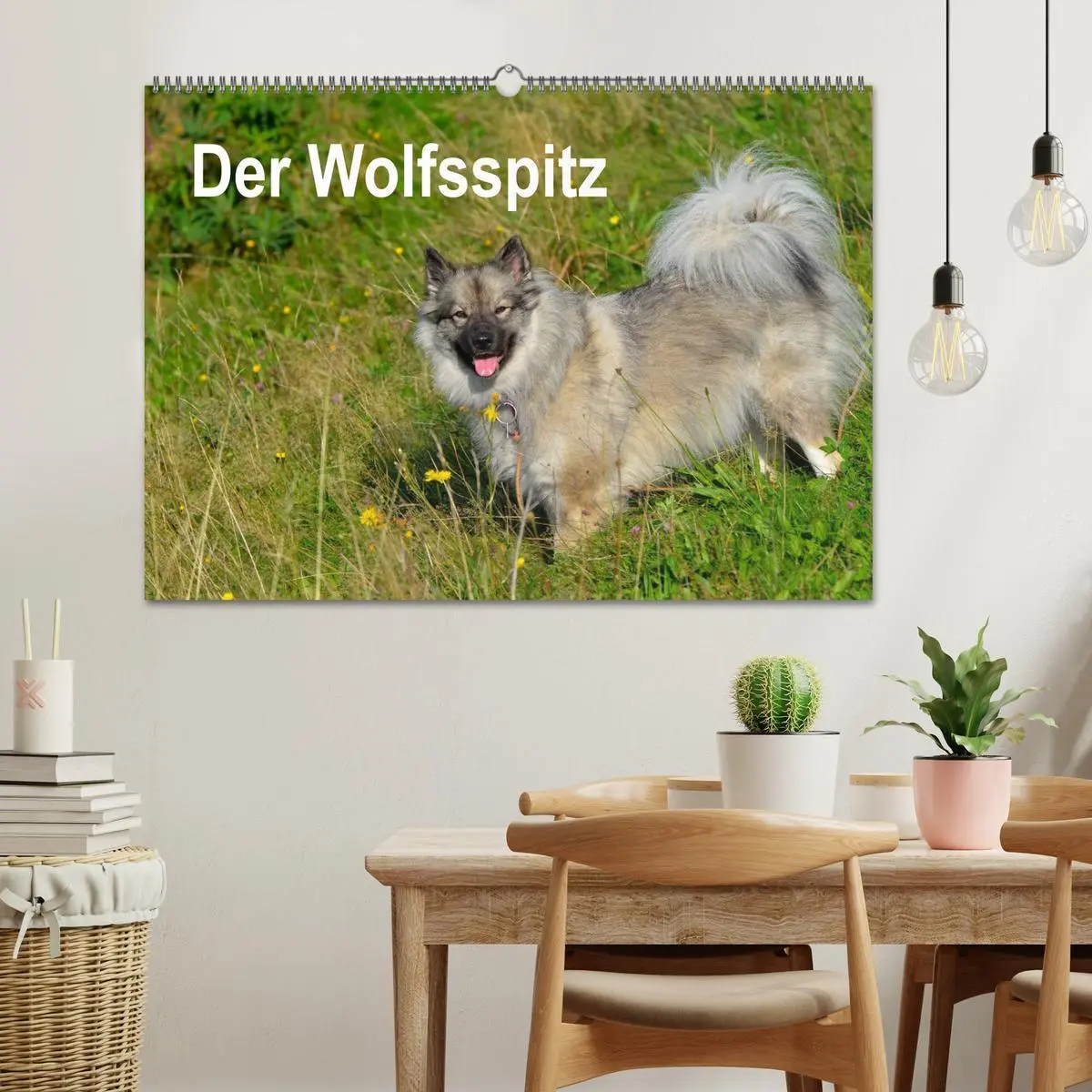 Bild: 9783516195002 | Der Wolfsspitz (Wandkalender 2026 DIN A2 quer), CALVENDO...