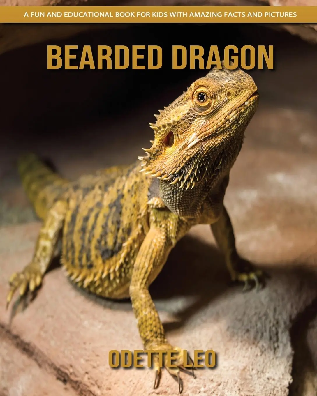 Cover: 9782960325102 | Bearded Dragon | Odette Leo | Taschenbuch | Englisch | 2023