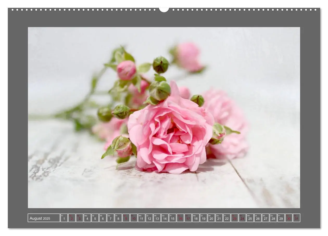 Bild: 9783435835102 | Blumen für dich (Wandkalender 2025 DIN A2 quer), CALVENDO...