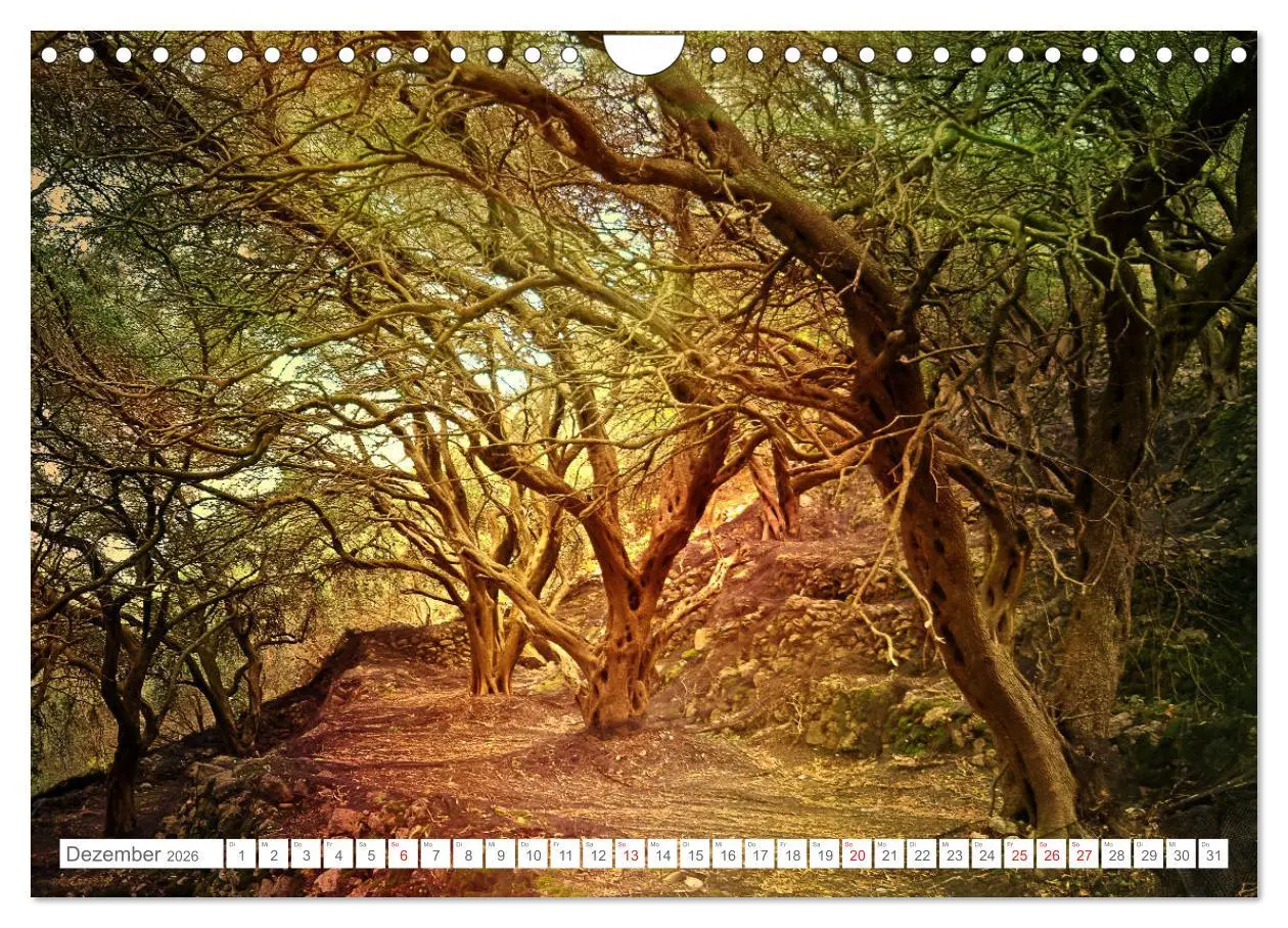 Bild: 9783457785102 | Faszination Korfu (Wandkalender 2026 DIN A4 quer), CALVENDO...