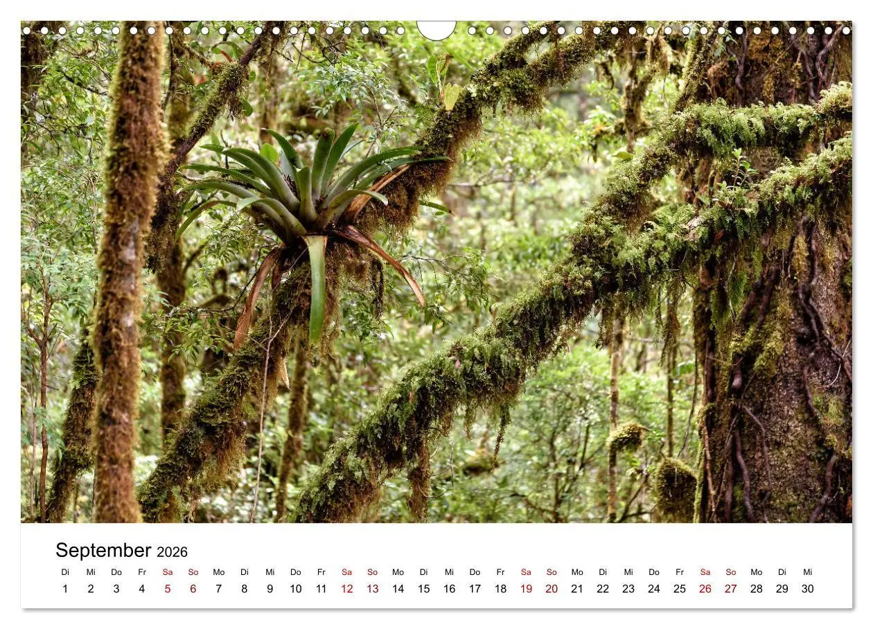 Bild: 9783457925102 | Costa Rica - das Naturparadies (Wandkalender 2026 DIN A3 quer),...