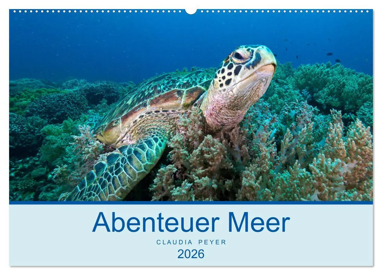Cover: 9783457775202 | Abenteuer Unterwasser (Wandkalender 2026 DIN A2 quer), CALVENDO...