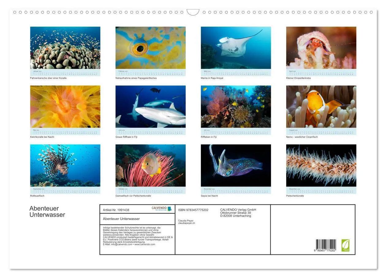 Bild: 9783457775202 | Abenteuer Unterwasser (Wandkalender 2026 DIN A2 quer), CALVENDO...