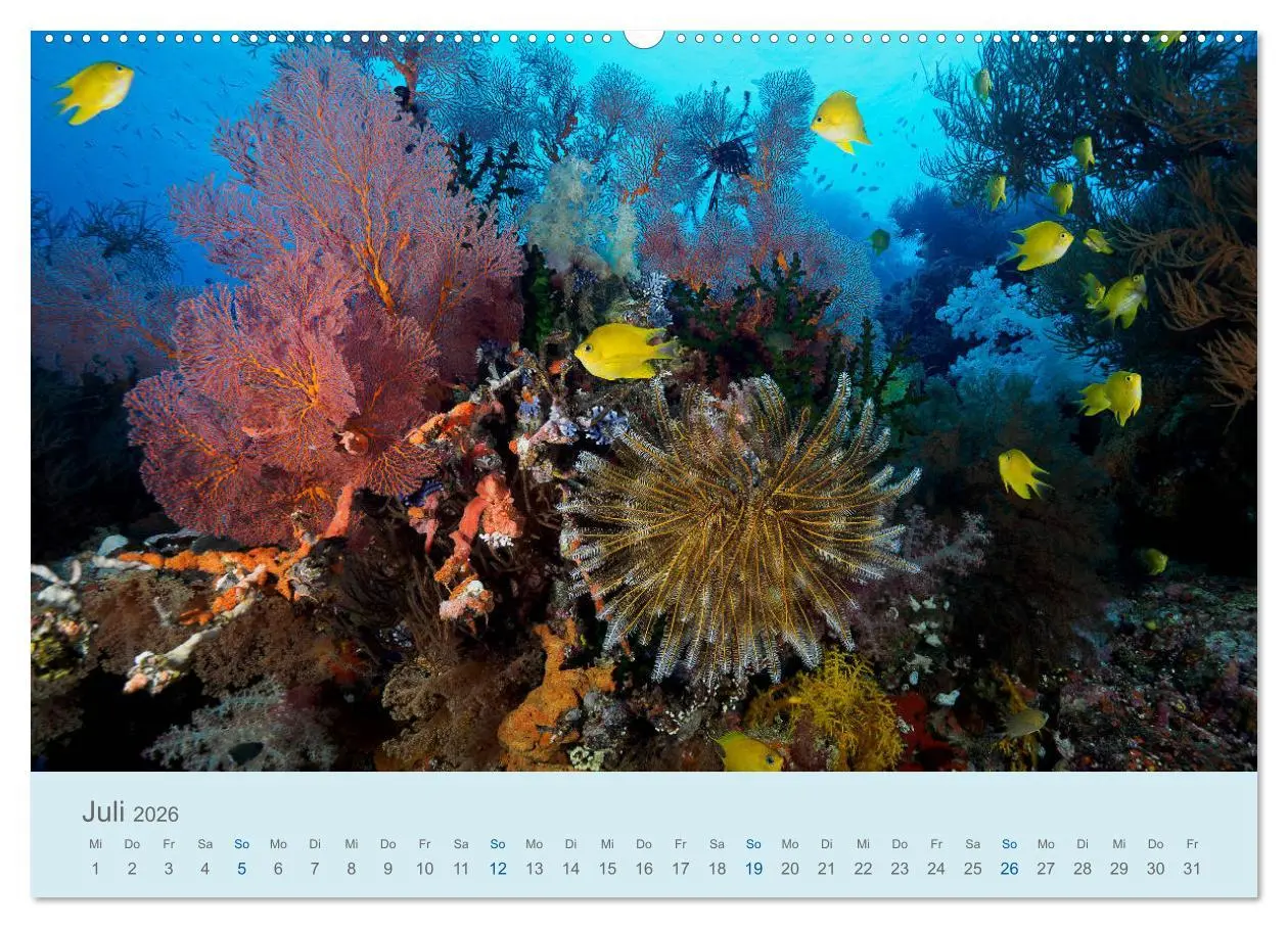 Bild: 9783457775202 | Abenteuer Unterwasser (Wandkalender 2026 DIN A2 quer), CALVENDO...