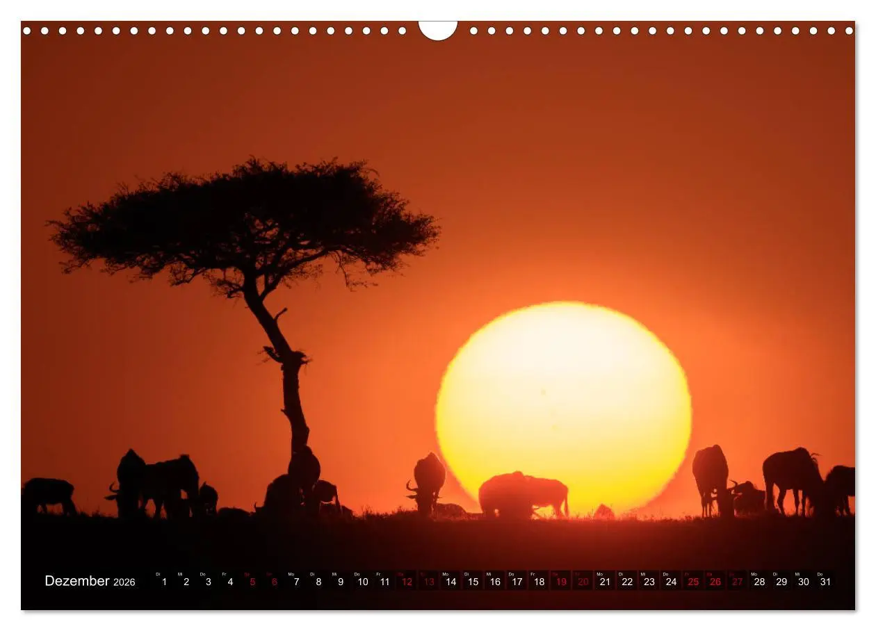 Bild: 9783457845202 | Auf Safari in Kenia 2026 (Wandkalender 2026 DIN A3 quer), CALVENDO...