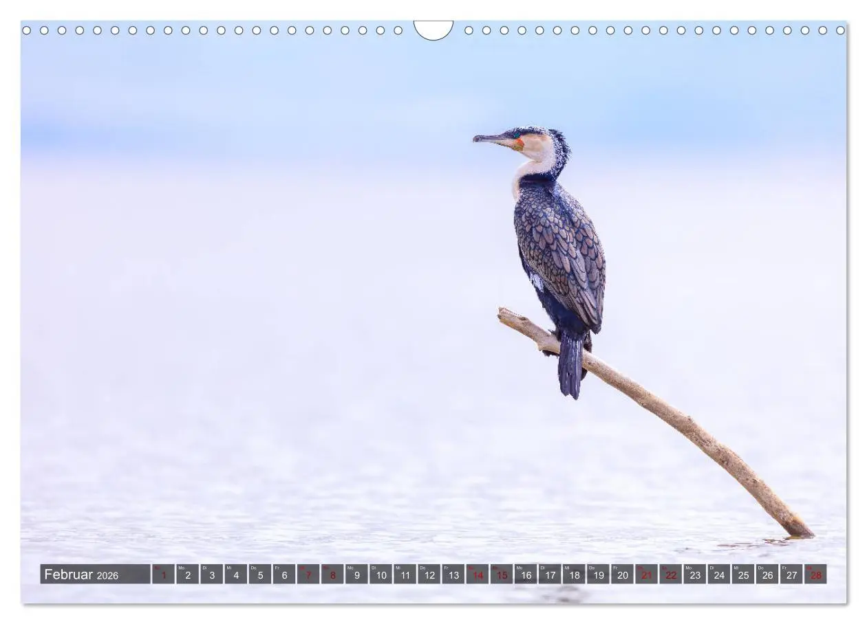 Bild: 9783457845202 | Auf Safari in Kenia 2026 (Wandkalender 2026 DIN A3 quer), CALVENDO...