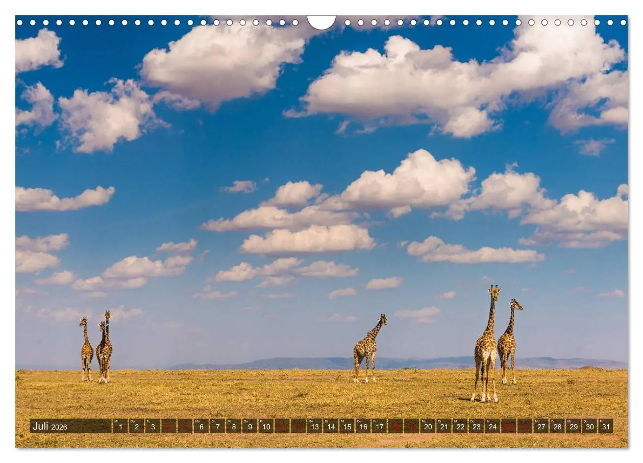 Bild: 9783457845202 | Auf Safari in Kenia 2026 (Wandkalender 2026 DIN A3 quer), CALVENDO...