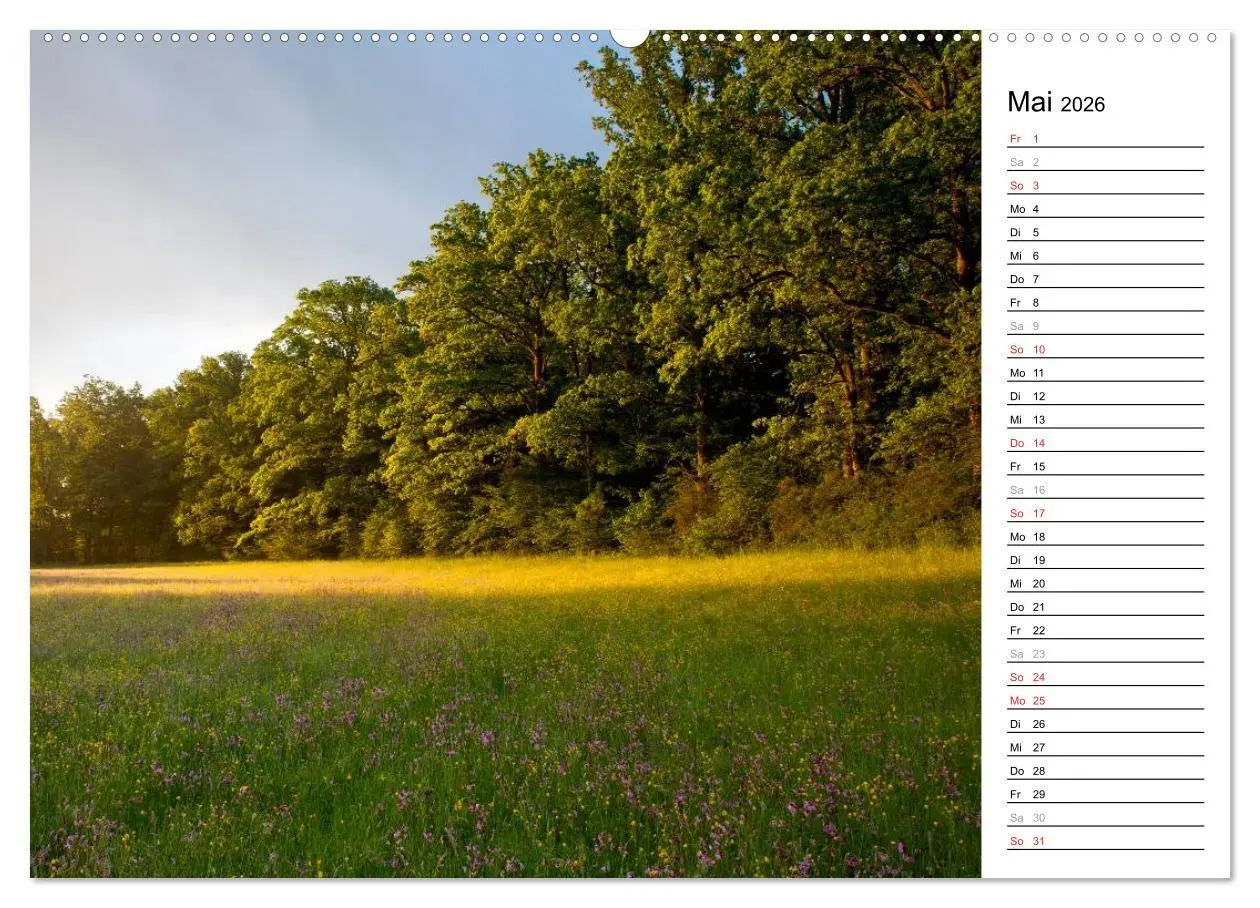 Bild: 9783516005202 | DER STEIGERWALD - Impressionen einer Landschaft (Wandkalender 2026...