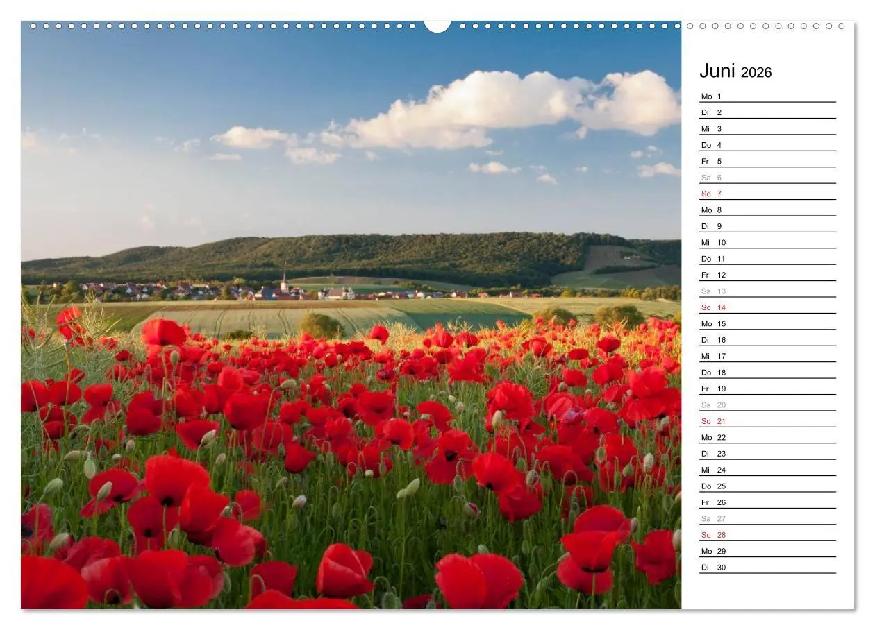 Bild: 9783516005202 | DER STEIGERWALD - Impressionen einer Landschaft (Wandkalender 2026...