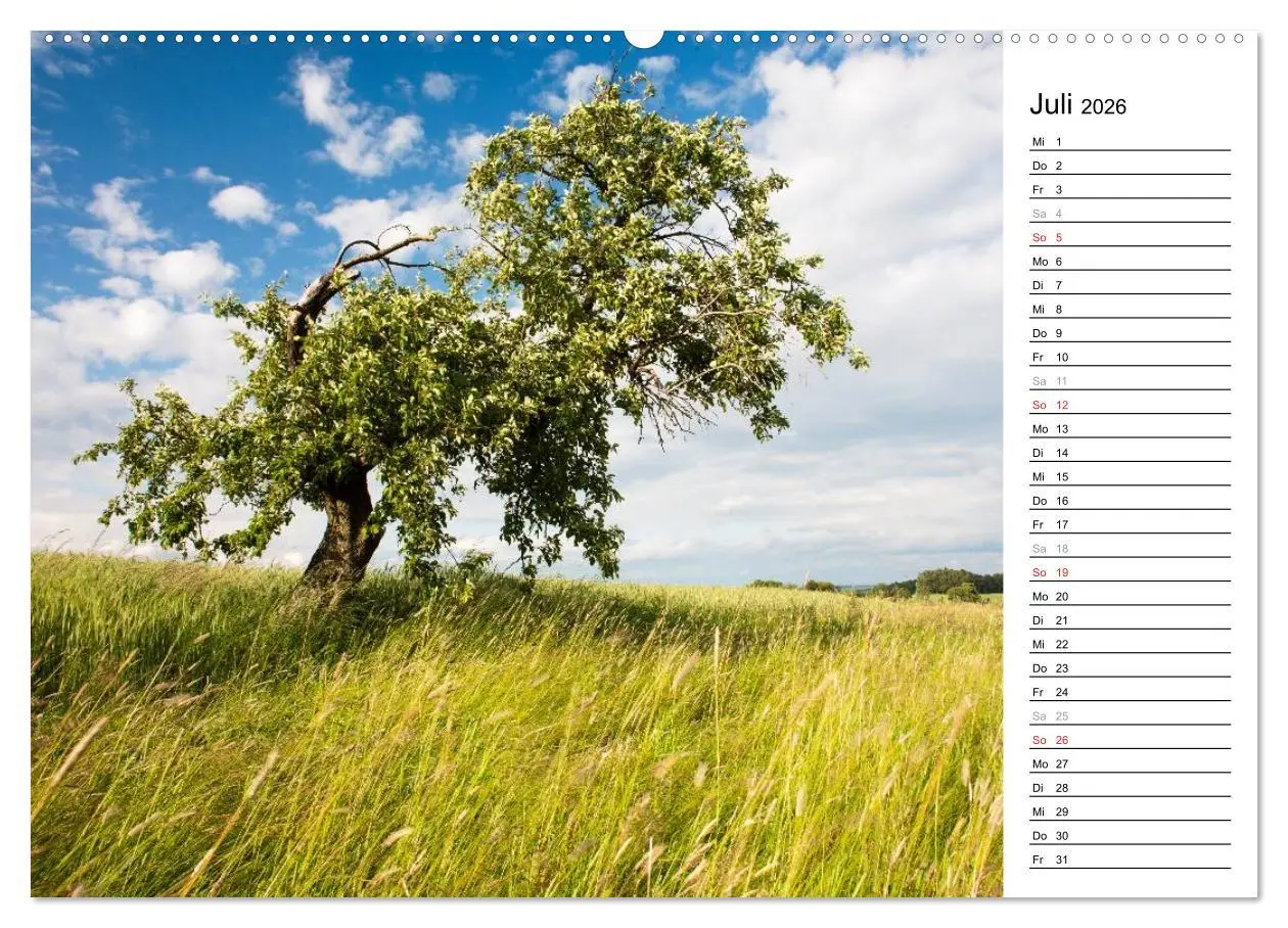 Bild: 9783516005202 | DER STEIGERWALD - Impressionen einer Landschaft (Wandkalender 2026...