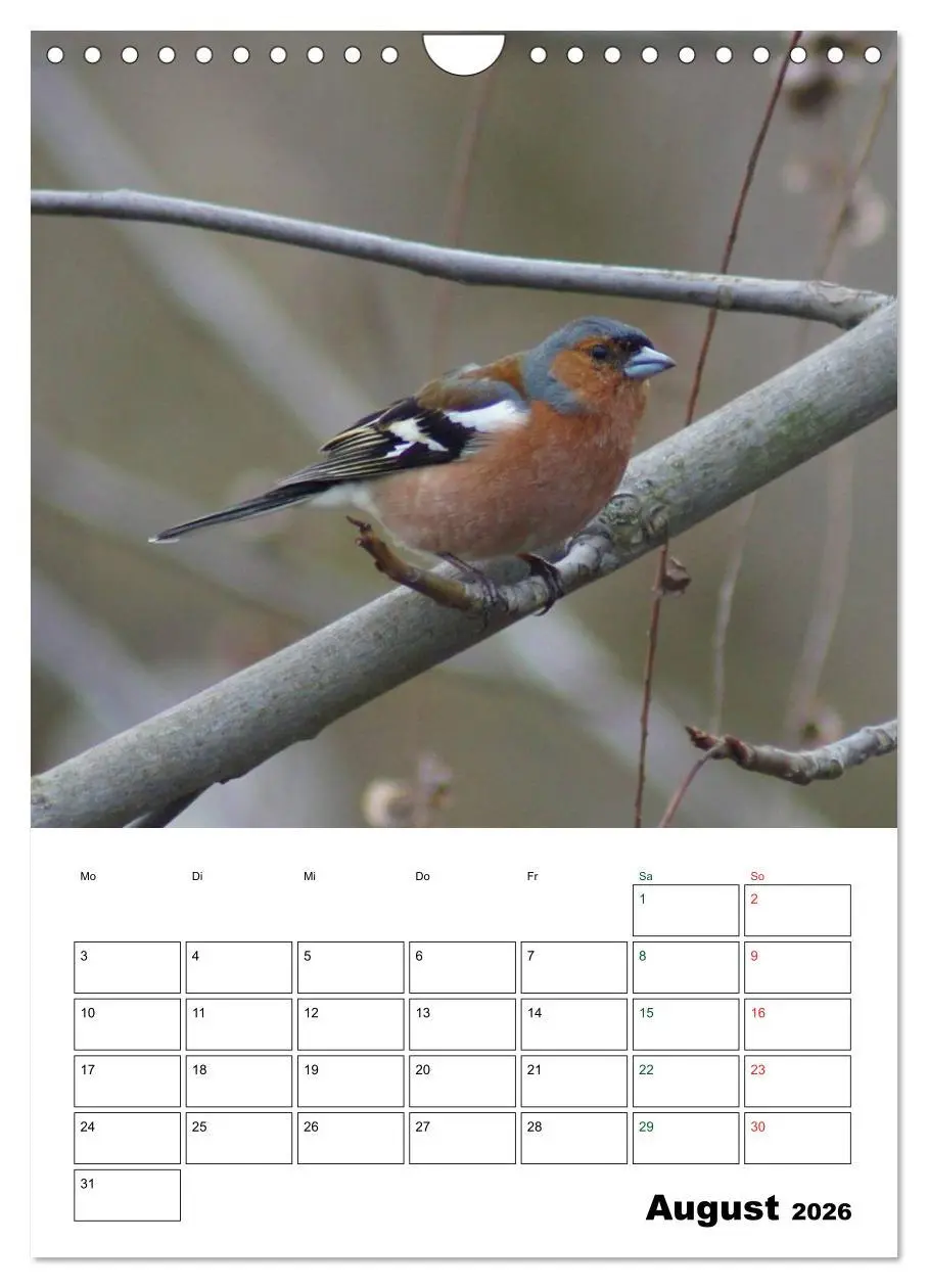 Bild: 9783516485202 | Heimische Singvögel (Wandkalender 2026 DIN A4 hoch), CALVENDO...