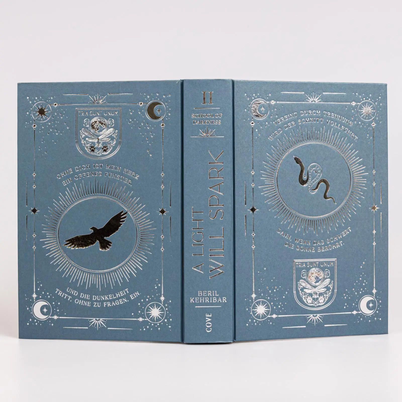 Bild: 9783551585202 | A Light Will Spark (School of Darkness 2) | Beril Kehribar | Buch