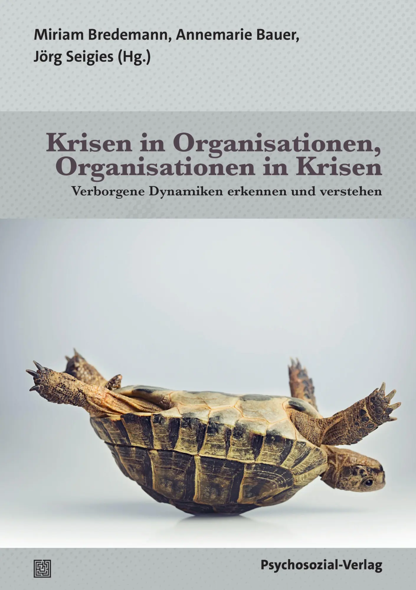 Cover: 9783837935202 | Krisen in Organisationen, Organisationen in Krisen | Bredemann (u. a.)