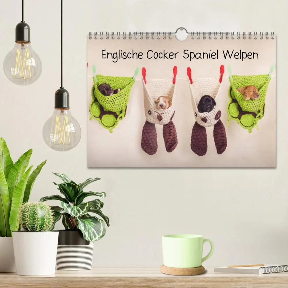 Bild: 9783457835302 | Englische Cocker Spaniel Welpen (Wandkalender 2026 DIN A4 quer),...