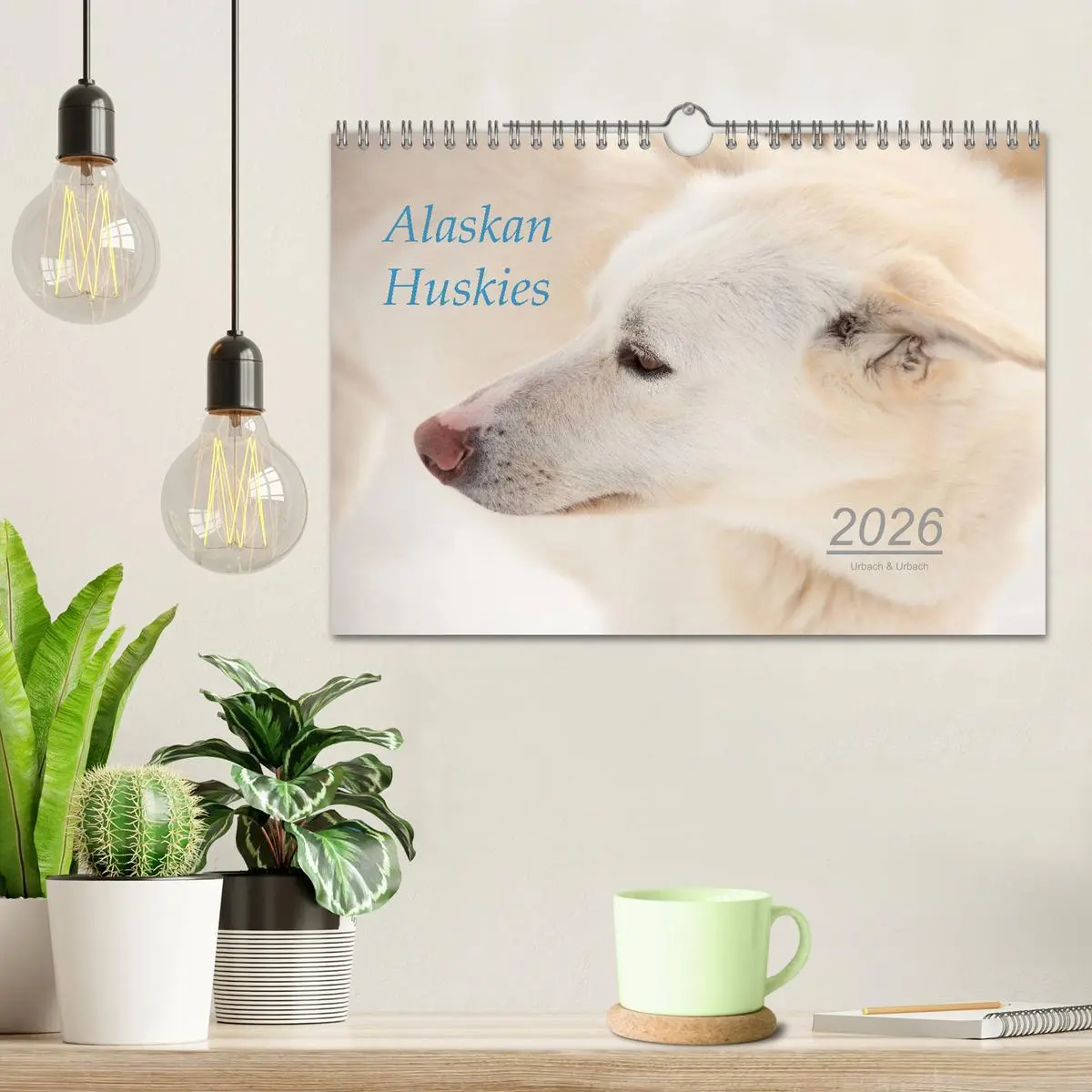 Bild: 9783457905302 | Alaskan Huskies (Wandkalender 2026 DIN A4 quer), CALVENDO...
