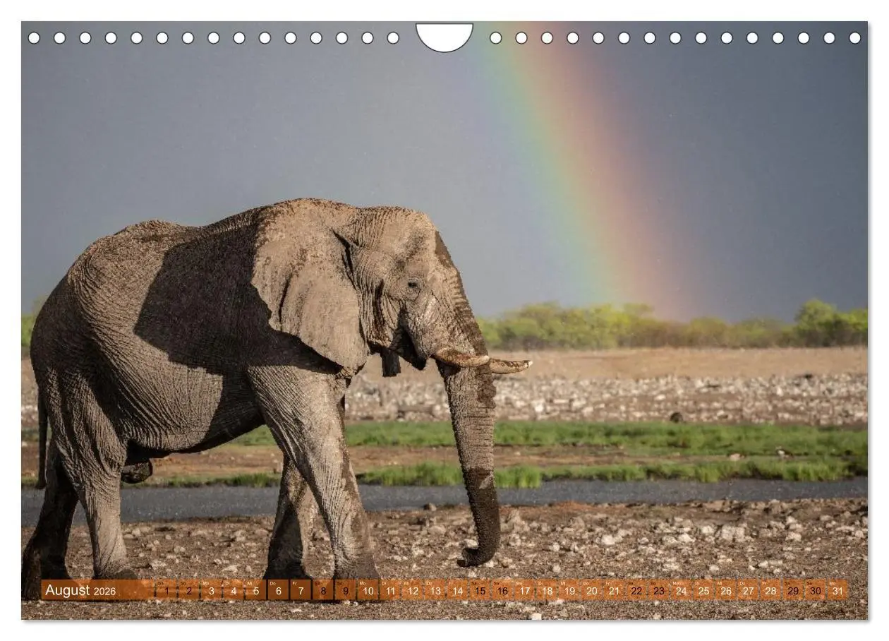 Bild: 9783516235302 | Das südliche Afrika 2026 (Wandkalender 2026 DIN A4 quer), CALVENDO...