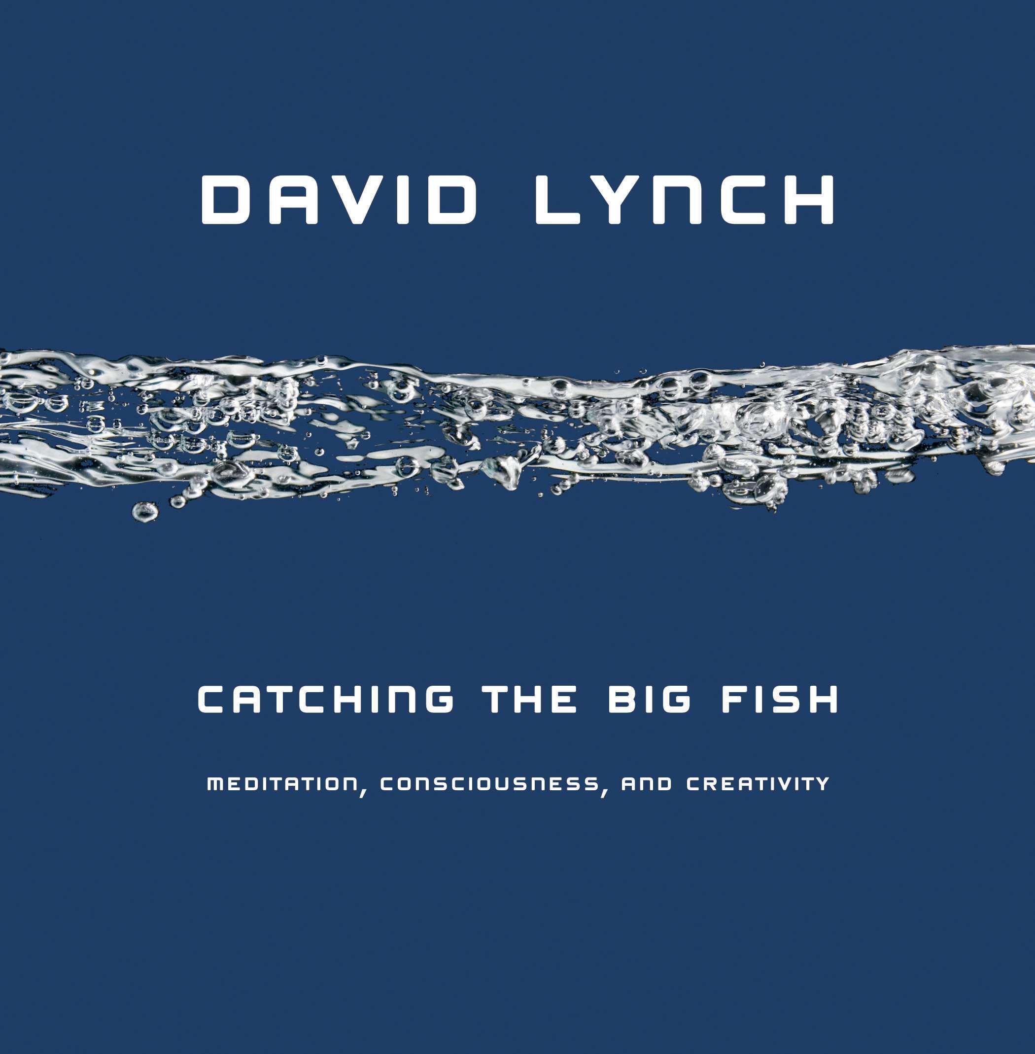Cover: 9781585425402 | Catching the Big Fish | Meditation, Consciousness, and Creativity