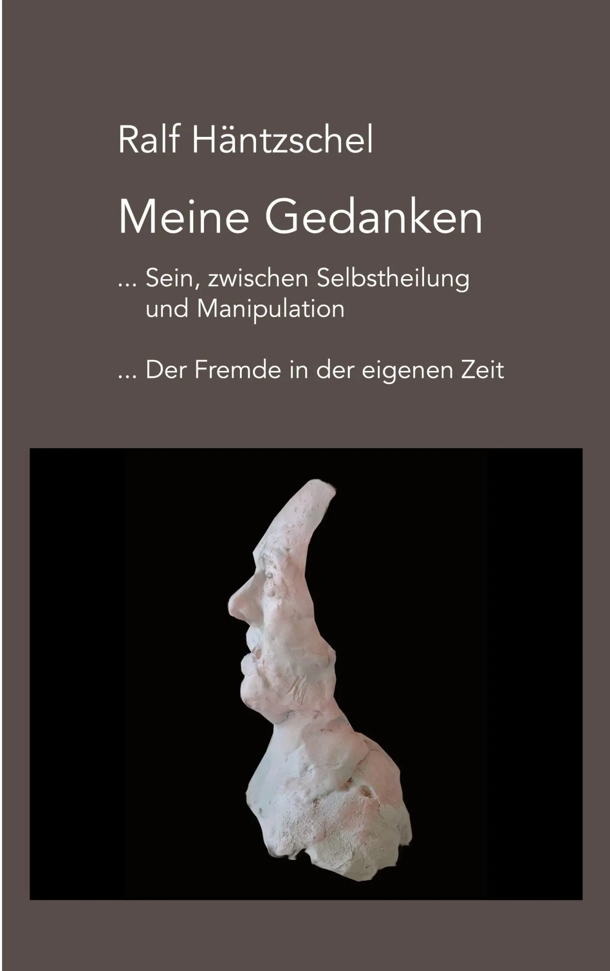 Cover: 9783695735402 | Meine Gedanken | Ralf Häntzschel | Taschenbuch | 100 S. | Deutsch
