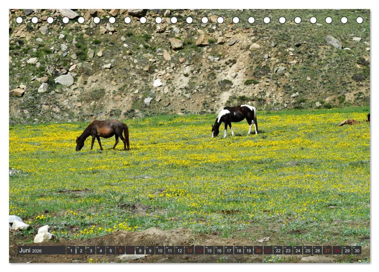 Bild: 9783457365502 | Ladakh - Zanskar (Tischkalender 2026 DIN A5 quer), CALVENDO...