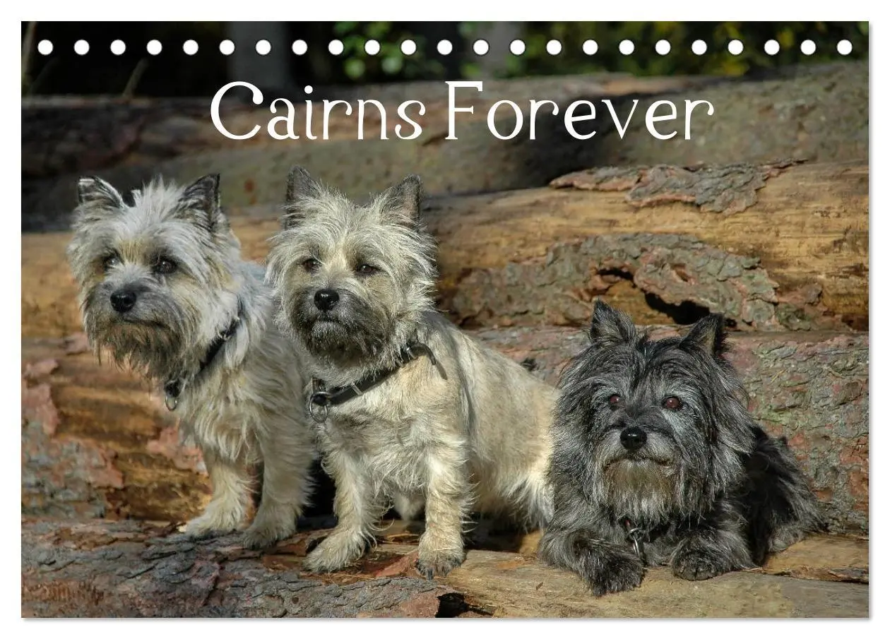 Cover: 9783457985502 | Cairns Forever (Tischkalender 2026 DIN A5 quer), CALVENDO...