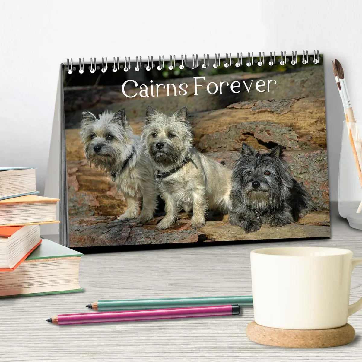 Bild: 9783457985502 | Cairns Forever (Tischkalender 2026 DIN A5 quer), CALVENDO...