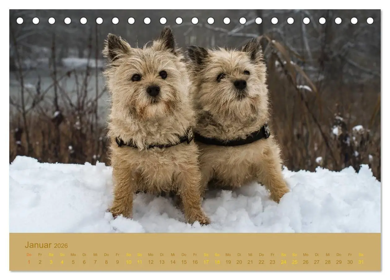 Bild: 9783457985502 | Cairns Forever (Tischkalender 2026 DIN A5 quer), CALVENDO...