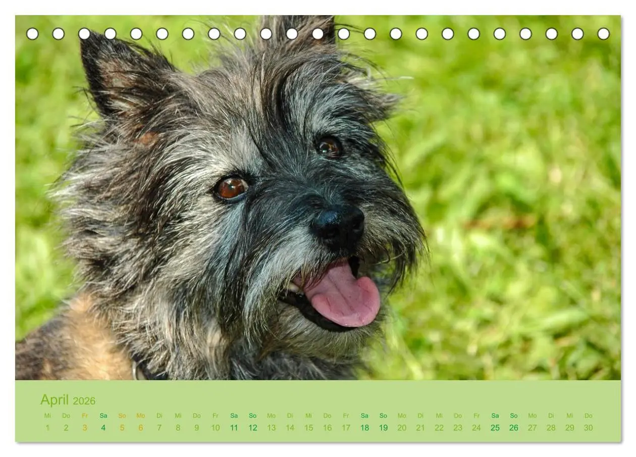 Bild: 9783457985502 | Cairns Forever (Tischkalender 2026 DIN A5 quer), CALVENDO...