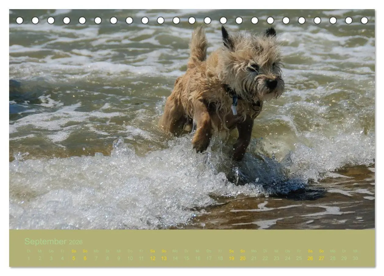Bild: 9783457985502 | Cairns Forever (Tischkalender 2026 DIN A5 quer), CALVENDO...