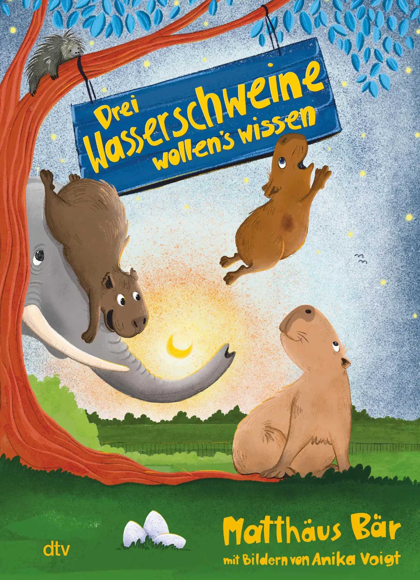 Cover: 9783423765602 | Drei Wasserschweine wollen's wissen | Matthäus Bär | Buch | 160 S.