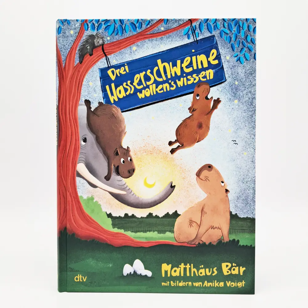 Bild: 9783423765602 | Drei Wasserschweine wollen's wissen | Matthäus Bär | Buch | 160 S.