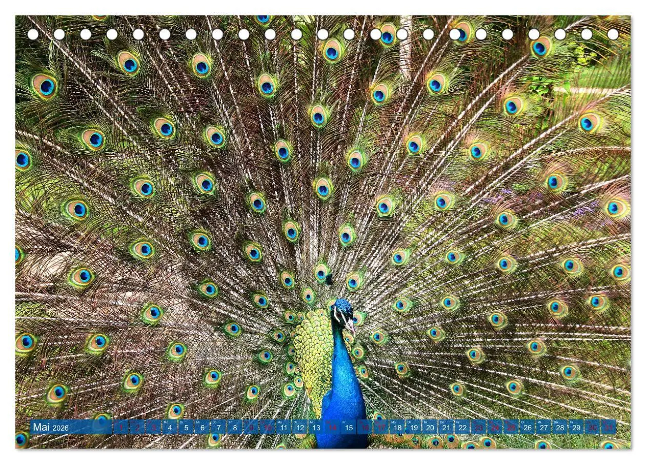 Bild: 9783457595602 | Die Pfaueninsel in Berlin (Tischkalender 2026 DIN A5 quer),...