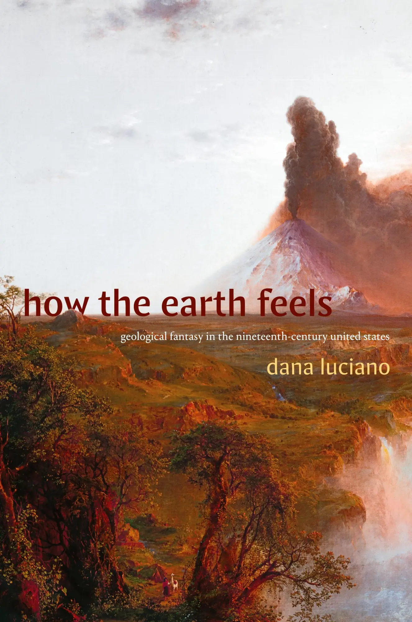 Cover: 9781478025702 | How the Earth Feels | Dana Luciano | Taschenbuch | Englisch | 2024