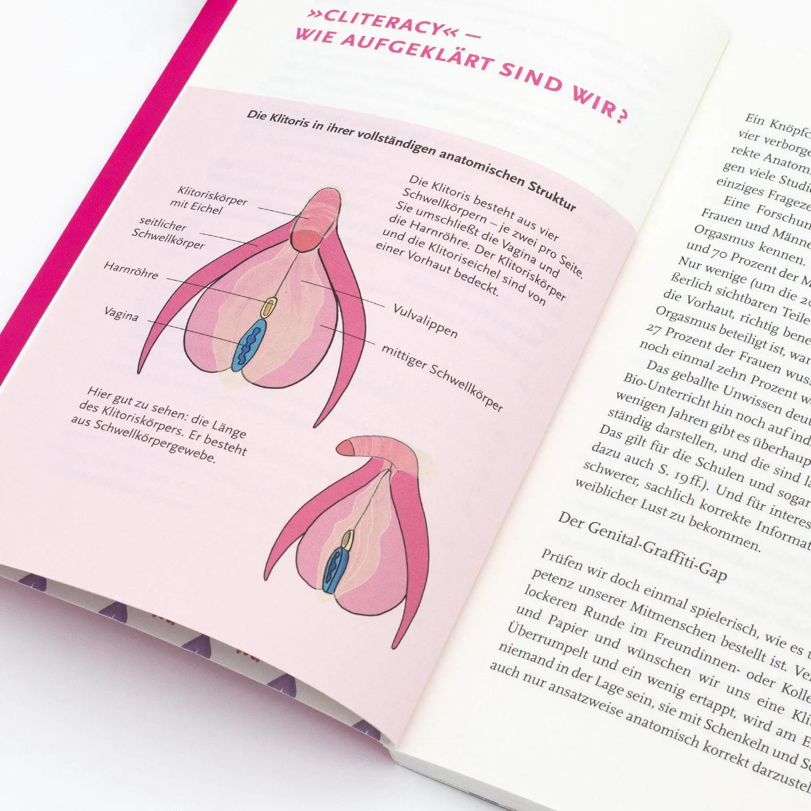 Bild: 9783458645702 | Don't miss the Clitoris | Mandy Mangler | Taschenbuch | 137 S. | 2026