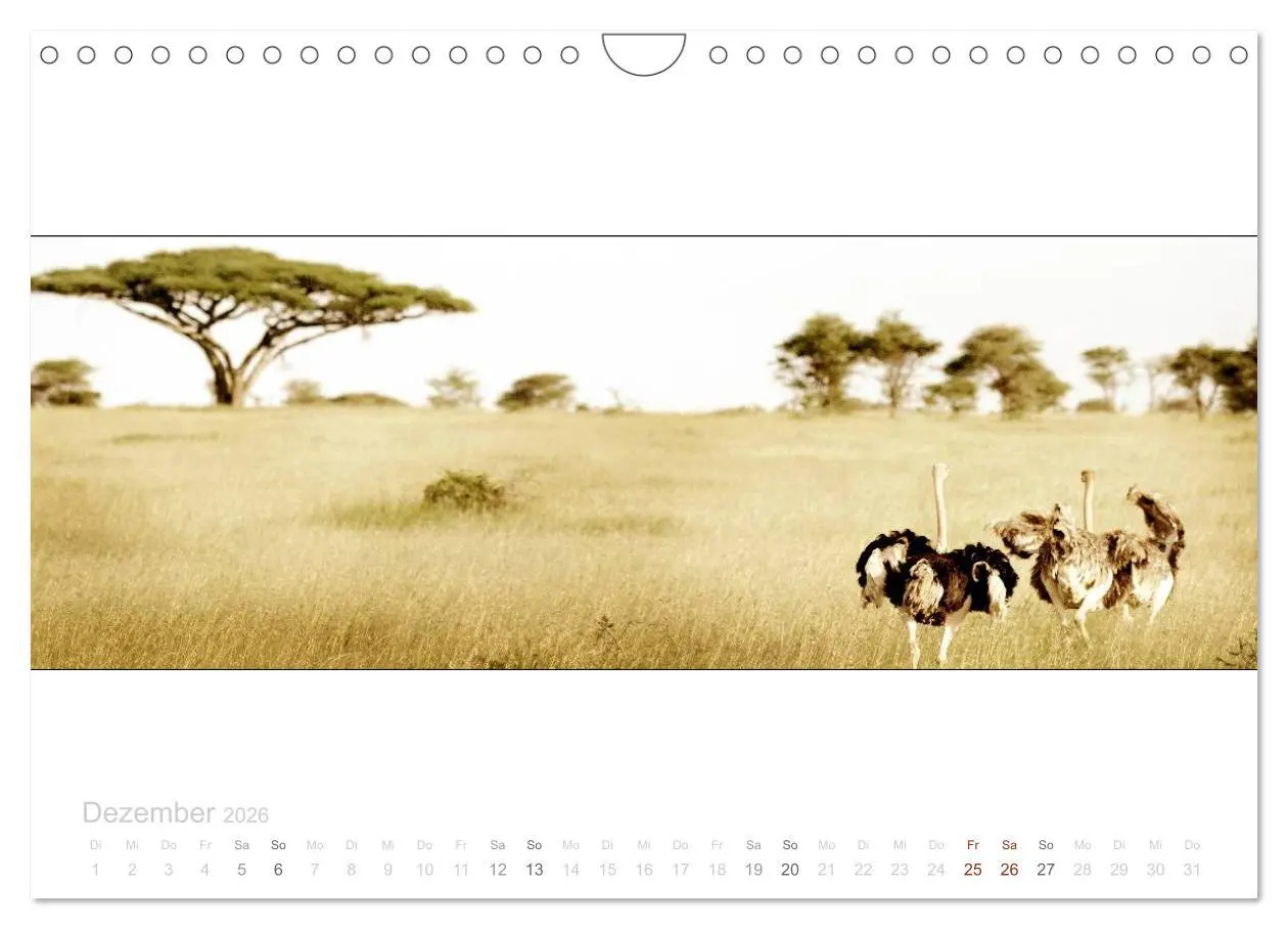 Bild: 9783516125702 | Serengeti Panorama (Wandkalender 2026 DIN A4 quer), CALVENDO...