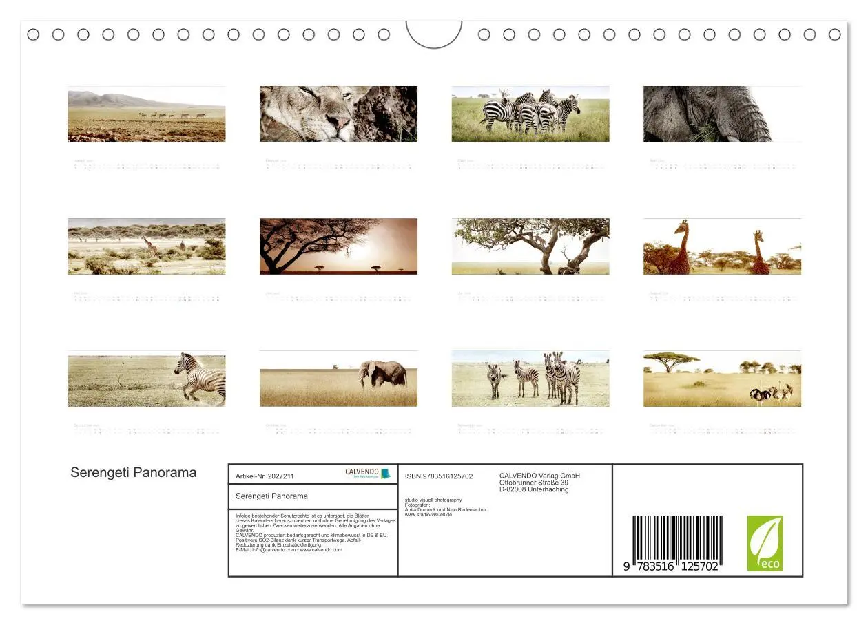 Bild: 9783516125702 | Serengeti Panorama (Wandkalender 2026 DIN A4 quer), CALVENDO...