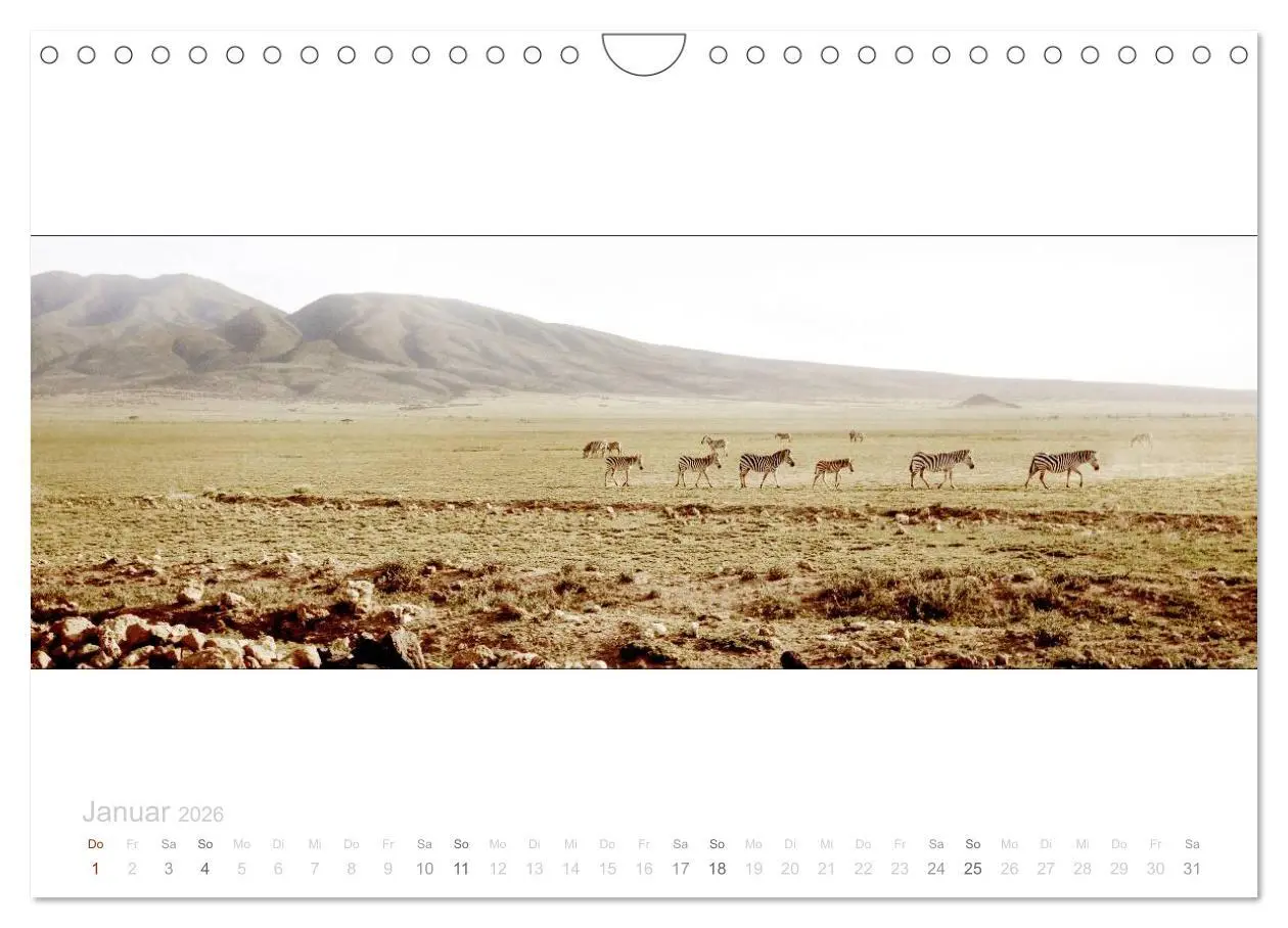 Bild: 9783516125702 | Serengeti Panorama (Wandkalender 2026 DIN A4 quer), CALVENDO...