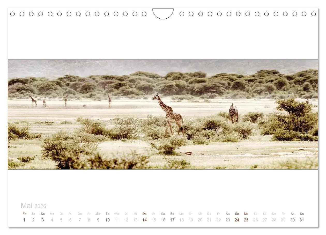 Bild: 9783516125702 | Serengeti Panorama (Wandkalender 2026 DIN A4 quer), CALVENDO...