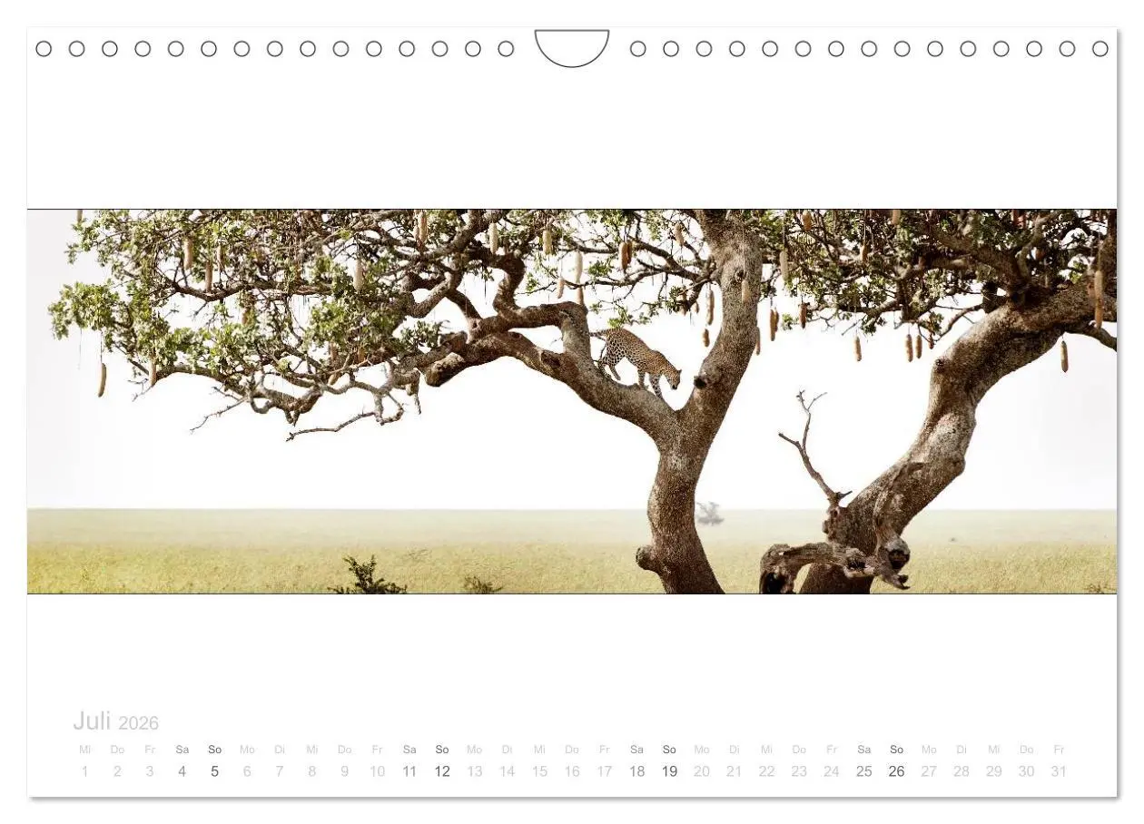 Bild: 9783516125702 | Serengeti Panorama (Wandkalender 2026 DIN A4 quer), CALVENDO...